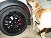 Got my 2013, whats new?-mud2.jpg