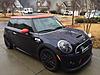 What did you do to your mini today?-photo.jpg