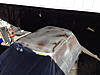 What did you do to your mini today?-image-10588752.jpg