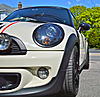 The New Official Peerage of the Pepper White-dsc_0062.jpg