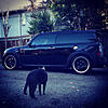What did you do to your mini today?-image-3095548672.jpg