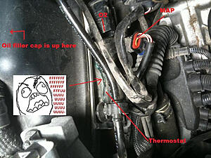 Maintenance :: Thermostat Change-5oxtt.jpg