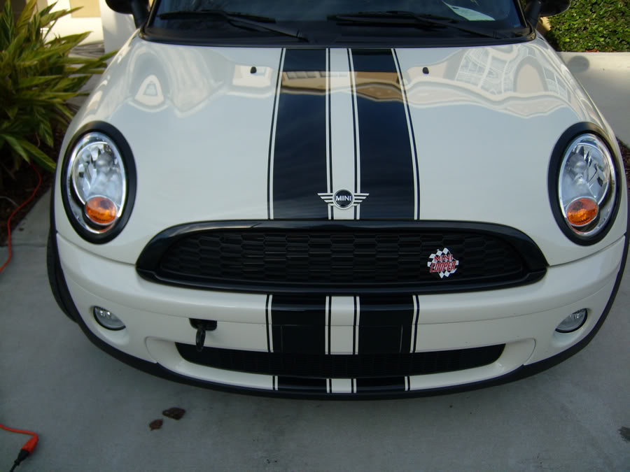 Name:  JoeyMod3.jpg
Views: 840
Size:  119.1 KB
