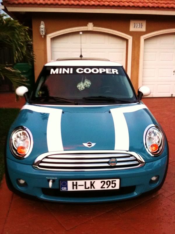 Name:  mini5.jpg
Views: 216
Size:  81.5 KB