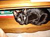 Let's see your eyes!-dsc02318.jpg