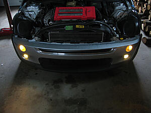 Black'd out N' Yellow'd Out-4nojy.jpg