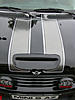 My new Carbon Fiber Shelby Stripes-dscn0122.jpg
