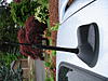 "Howard" gets a new antenna mast! RE: ADAMSALTAMINI-dsc00538_1.jpg