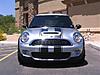 Viper Stripes Installed-img_1789.jpg