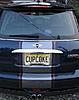 Can we start an official SHOW ME YOUR STRIPES thread?-mini-stripes-back.jpg