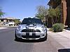 Shelby Stripes-picture-238.jpg