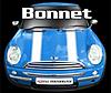 Help with Stripes please-st_stripe_bonnet_same_pinstripe.jpg