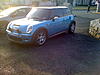 Tints!-img_0032.jpg