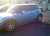 Tints!-img_0028.jpg