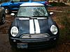 Moss mini magnetic hood strips-stripes.jpg