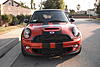 New Viper Stripes-stripes-front.jpg