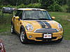 Can we start an official SHOW ME YOUR STRIPES thread?-stinger-bee-002.jpg