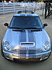 Viper Stripe Photos-stripes-front.jpg
