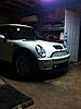 Plistidip Bug-img_2008.jpg