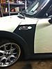 Plistidip Bug-img_2042.jpg