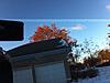 Dot Matrix + Tint Issue-photo-3.jpg