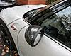 Carbonmini project completed-img_2870.jpg