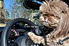 JCW Pictures!-1-dsc_1760.jpg