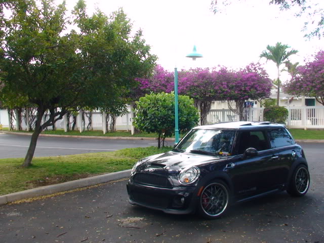 Name:  DSC00666.jpg
Views: 348
Size:  82.4 KB