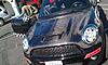 Carbon Fiber Hood?-imag0225.jpg