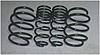 FS: H&amp;R Springs-mini-springs.jpg