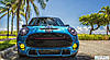 Sweet Mini Pics! Got any?-csp_1800.jpg