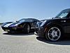 Out with the big boys - making friends!-gt-mini4.jpg