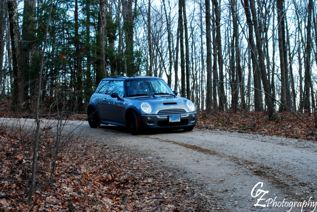 Name:  DSC_0053.jpg
Views: 1262
Size:  483.8 KB