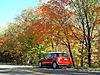 Fall MINI-fall-mini1.jpg