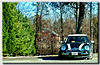 What Do Think?  Warning Lots Of Photos!-mneeme_edit.jpg