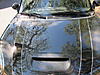 NAM - Mini Photo Challenge game!!!-treereflections.jpg