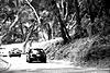Digital BW Pics-minibw.jpg