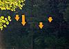 Help. Strange pixels?-lines2_d70.jpg