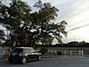 Photography Project-4.jpg