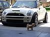 Questions about MOTOR SWAG Grille Badges.-stp60189.jpg