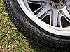 S-Lites FS-picture-046.jpg