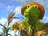 News of the Wizard of Oz...-ozteaser023.jpg
