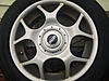 r84 x lites-image-2931814475.jpg