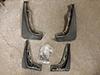 OEM Clubman Mud Flaps and MINI Checkered License Plate Frame-20150328_175419.jpg