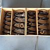 OME R56 springs-springs.jpg