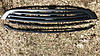 Blacked out chrome grilles-image-1446796039.jpg