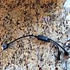 I pod cable OME-img_0731.jpg