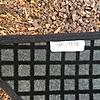 Front Carpet Mats-2015-05-17-16.00.09.jpg