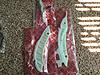 N14 Timing Chain Kit "Death Rattle"-phone-pics-289.jpg