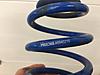 Hotchkis H-sport Lowering Springs-image.jpeg